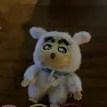 member face