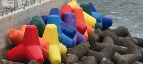 모임 대표 이미지