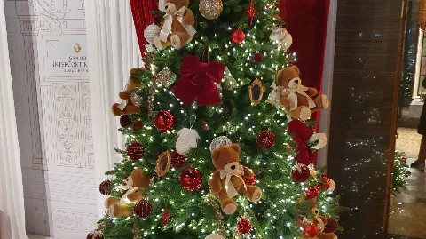 정모 대표 이미지