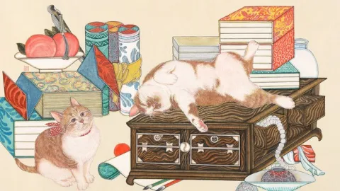 정모 대표 이미지