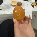 member face