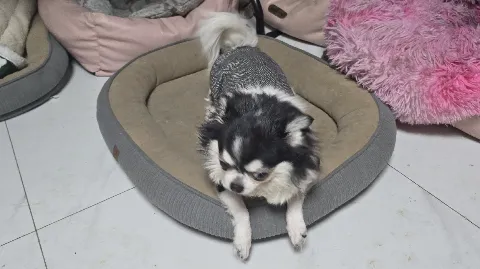 정모 대표 이미지