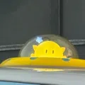member face