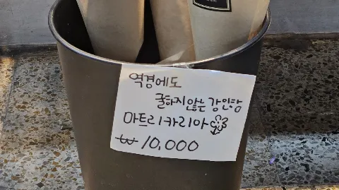 정모 대표 이미지