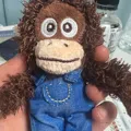 member face