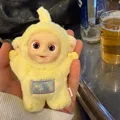 member face