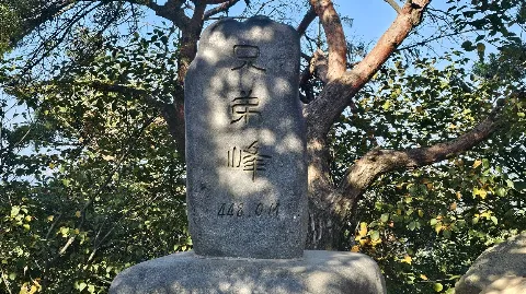정모 대표 이미지