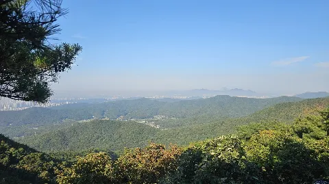 정모 대표 이미지