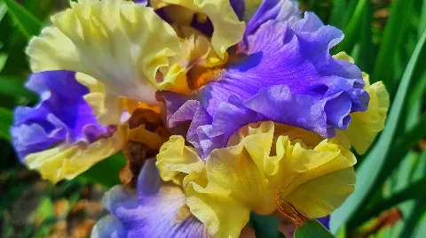 정모 대표 이미지