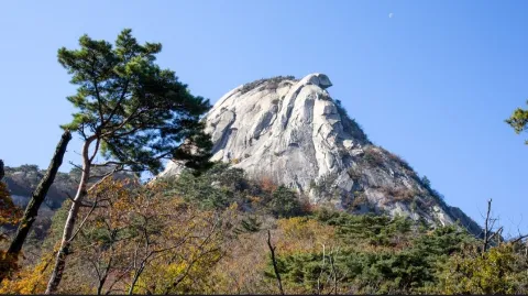 정모 대표 이미지