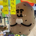 member face
