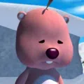 member face