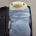 member face