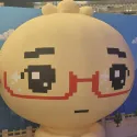 member face