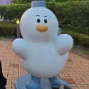 member face