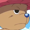 member face