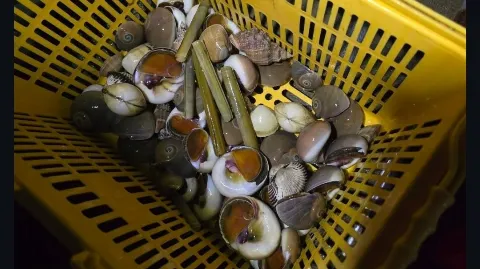 정모 대표 이미지