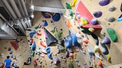 정모 대표 이미지