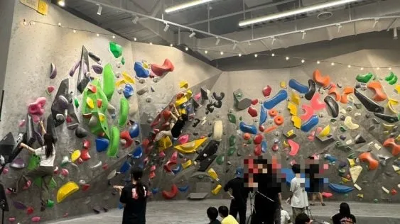 정모 대표 이미지