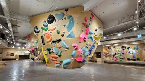 정모 대표 이미지