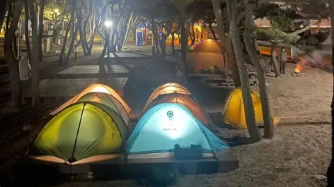정모 대표 이미지