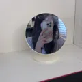 member face