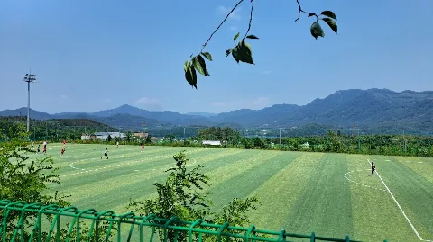 정모 대표 이미지