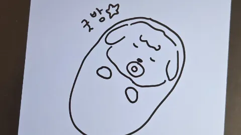정모 대표 이미지