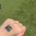 member face