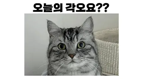 정모 대표 이미지