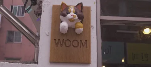 모임 대표 이미지