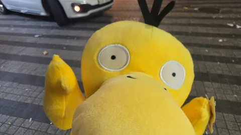 정모 대표 이미지