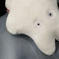 member face