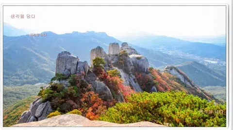 정모 대표 이미지