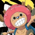 member face