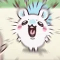member face