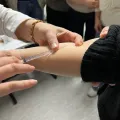 member face