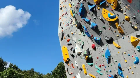 정모 대표 이미지