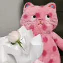 member face