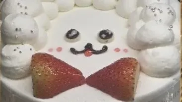 정모 대표 이미지