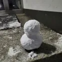 member face