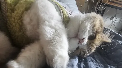 정모 대표 이미지