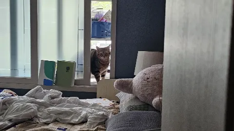 정모 대표 이미지