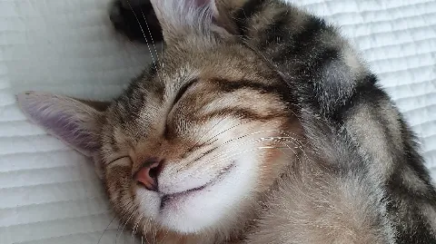 정모 대표 이미지