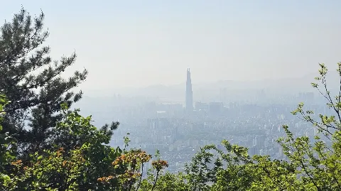 정모 대표 이미지