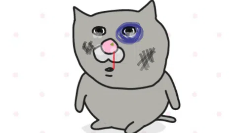 정모 대표 이미지