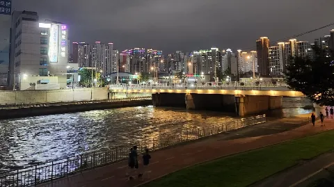 정모 대표 이미지