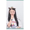 member face