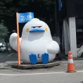 member face