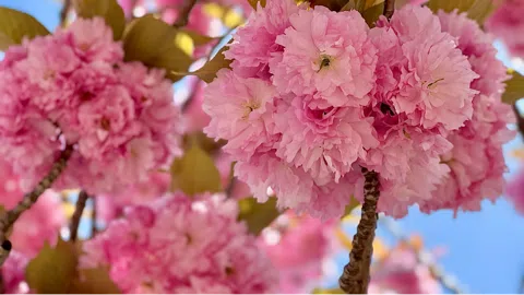 정모 대표 이미지